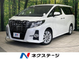 両側電動ドア BIG-X11インチナビ 後席モニター バックカメラ
