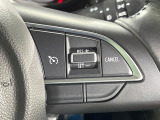 【クルーズコントロール】高速道路もラクラク走行。アクセルを離しても一定速度で走行ができ、長距離運転時の負担を軽減!加速・減速も簡単なスイッチ操作で調整できます。
