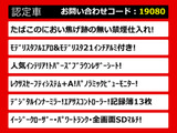 LS 500h Iパッケージ トパーズブラウン革モデリスタエアロ