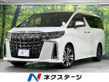 純正9型ディスプレイオーディオ バックカメラ 後席モニター