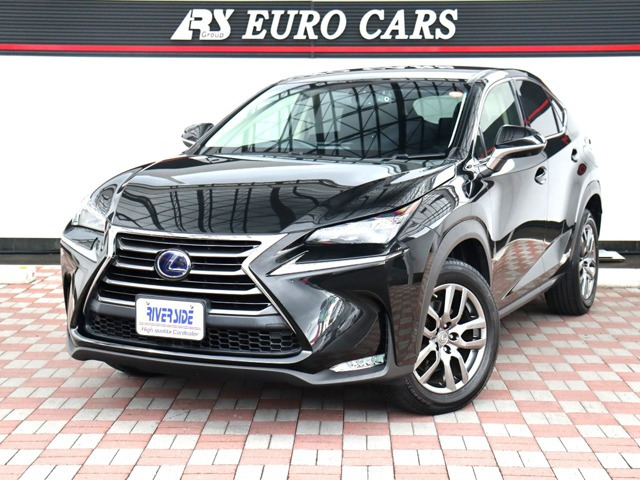 NX 300h Iパッケージ 純正ナビ・フルセグTV・DVD再生・ブルート