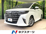 左右独立ムーンルーフ 両側電動スライドドア 後席モニター 全周囲カメラ