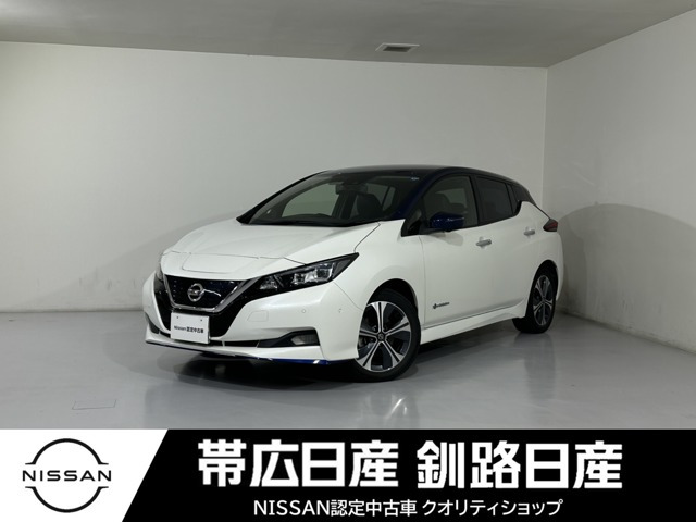 リーフ e+ G