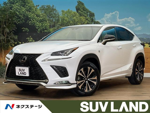 NX 300h Fスポーツ