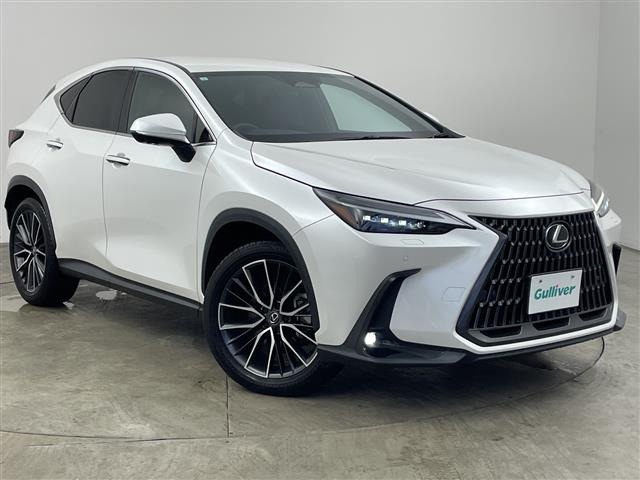 NX 350h 修復歴無し