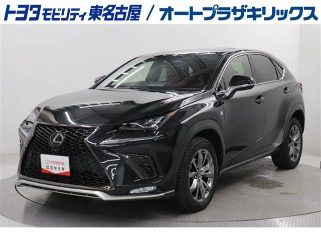 NX 300 Fスポーツ 