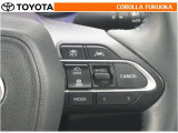 高速道路などを一定の速度で走行したい場合に、スイッチを操作することでアクセルペダルを踏まずに定速走行できます。