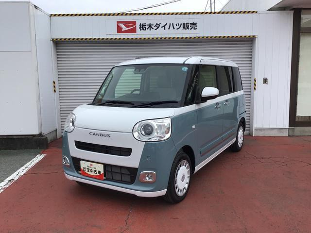 ムーヴキャンバス  ストライプス G