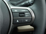 ◆アダプティブクルーズコントロール◆予め設定した車速内でクルマが自動的に加減速。前走車との適切な車間距離を維持しながら追従走行します。【LKAS】車線維持支援システムでステアリング操作を支援。