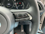 全車速対応追従式クルーズコントロール搭載!