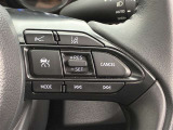 前方の車との車間を設定し、スピードを上げたり緩めたりを自動で行ってくれる追尾式の「レーダークルーズ」。上級装備の一つです!高級車にしかつかない嬉しい機能です。