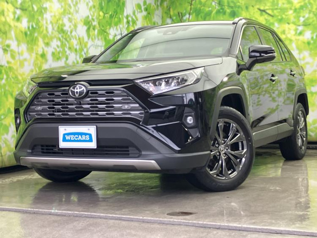 RAV4 2.0 G 4WD 