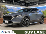 フルエアロ メーカーナビ BOSEサウンド 純正OP18AW 全周囲カメ