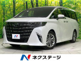 純正14型ナビ 全周囲カメラ 後席モニター 両側電動スライド