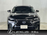 NX 300h Iパッケージ 