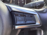 アクセルペダルを踏まなくても車速を約30から100km/hの間に設定できる装置です。高速道路、加速/減速の繰り返しが少ない自動車道などで使用すると、とても快適なドライブができますね♪
