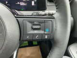 【プロパイロット】高速道でアクセル・ブレーキ・ハンドルをアシスト。運転の負担を軽減します。