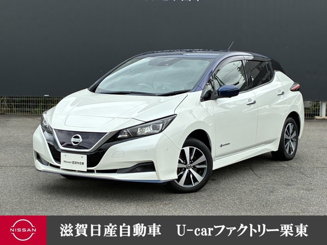 リーフ e+ X 