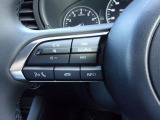 オーディオの音量やチャンネル操作ができるスイッチが、ハンドルに付いています。運転中でも、操作が行えて非常に安全・便利です!