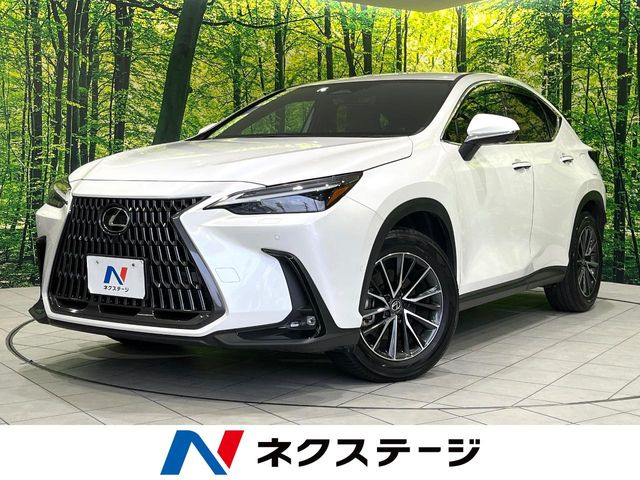 NX 350h 