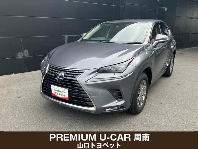 NX 300h Iパッケージ