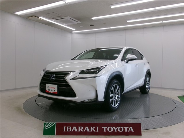 NX 300h Iパッケージ