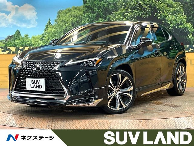 UX 250h グレイスフル エクスプローラー