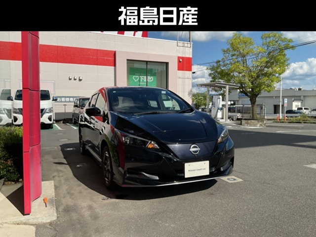 リーフ e+ X