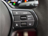 ◆アダプティブクルーズコントロール◆予め設定した車速内でクルマが自動的に加減速。前走車との適切な車間距離を維持しながら追従走行します。【LKAS】車線維持支援システムでステアリング操作を支援。