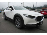 グッドコンディションでお届け!車検/点検を実施し、安心してカーライフをお過ごしいただけるようお渡しいたします。