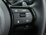 ◆アダプティブクルーズコントロール◆予め設定した車速内でクルマが自動的に加減速。前走車との適切な車間距離を維持しながら追従走行します。【LKAS】車線維持支援システムでステアリング操作を支援。