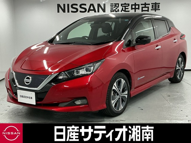 リーフ G