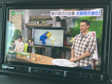 停車中にテレビや映像コンテンツを楽しめるTV画面。休憩時間などにリラックスするのに最適です。後部座席の方にもおすすめです。