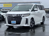 流麗なフロントマスクが印象的なスタイル。洗練されたグリルとヘッドライトが、都会的な雰囲気を演出します。存在感のある佇まいです。