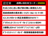 LS 460 バージョンC 連眼LED 全画面SDナビ 黒革