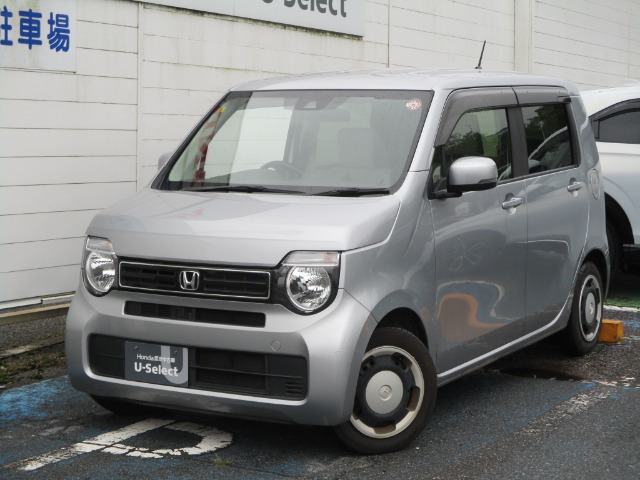 N-WGN L