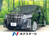 両側電動ドア 純正ディスプレイ 後席モニター バックカメラ 衝突被害軽減