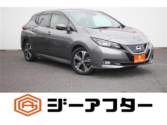 リーフ G 禁煙車 純正ナビ フルセグTV