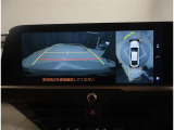 バックカメラで車庫入れも安心☆ 頼りすぎ注意です。