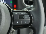 ◆アダプティブクルーズコントロール◆予め設定した車速内でクルマが自動的に加減速。前走車との適切な車間距離を維持しながら追従走行します。【LKAS】車線維持支援システムでステアリング操作を支援。