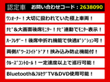 エルグランド 2.5 250ハイウェイスターS リアモニター 両自 ワンオーナー