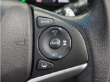 ◆アダプティブクルーズコントロール◆予め設定した車速内でクルマが自動的に加減速。前走車との適切な車間距離を維持しながら追従走行します。【LKAS】車線維持支援システムでステアリング操作を支援。