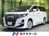 モデリスタエアロ 両側電動ドア BIG-X9インチナビ 後席モニター