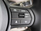 ◆アダプティブクルーズコントロール◆予め設定した車速内でクルマが自動的に加減速。前走車との適切な車間距離を維持しながら追従走行します。【LKAS】車線維持支援システムでステアリング操作を支援。