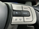 クルーズコントロールを装備しています。高速道路などで一定の速度で走ってくれるので運転が楽ですよ!速度を設定できますので、スピードの出しすぎにも注意できます。