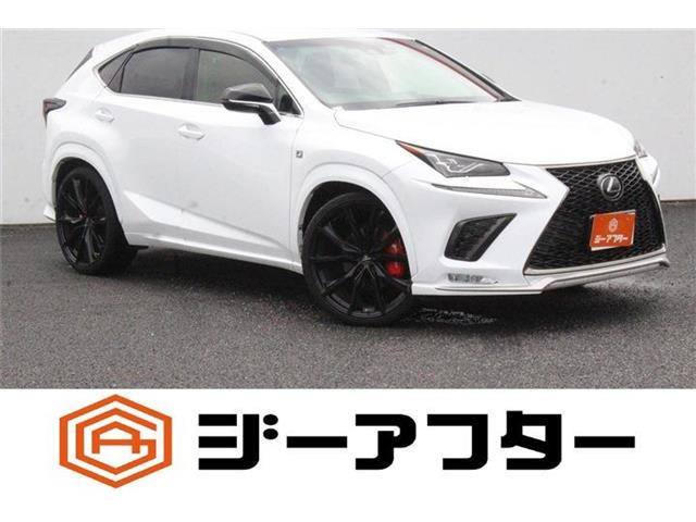 NX 300 Fスポーツ 禁煙車 純正10.3インチナビ バックカメラ