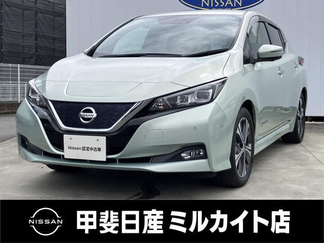 リーフ G