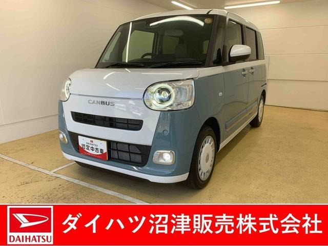ムーヴキャンバス  ストライプス G