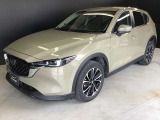 車の決めポーズ斜め45&deg;