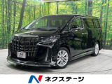 両側電動スライド 純正9型ナビ フリップダウン バックカメラ
